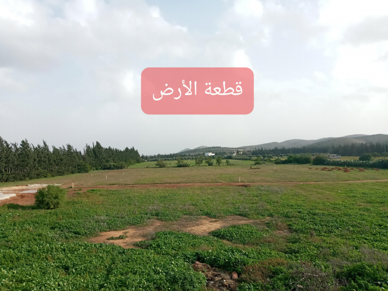 إعلان على أفاريات تونس ل: للبيع قطعة أرض